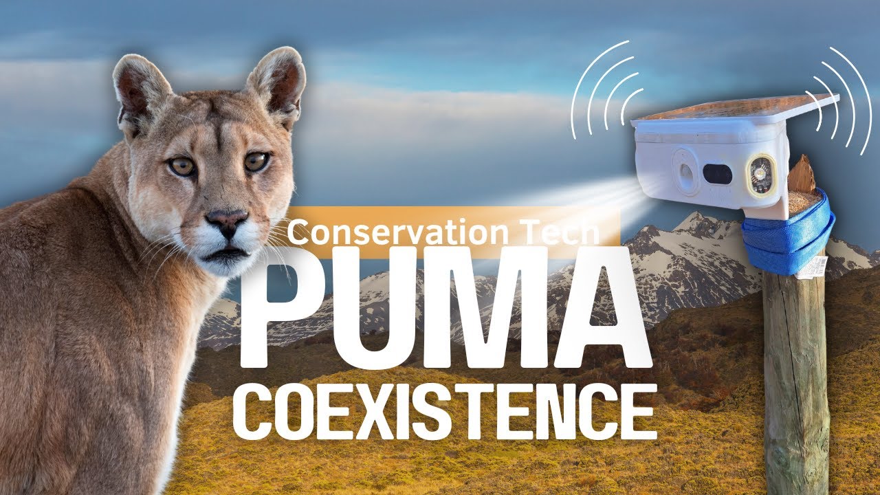 How Blink+A Works: The Science Behind Wildlife Deterrence