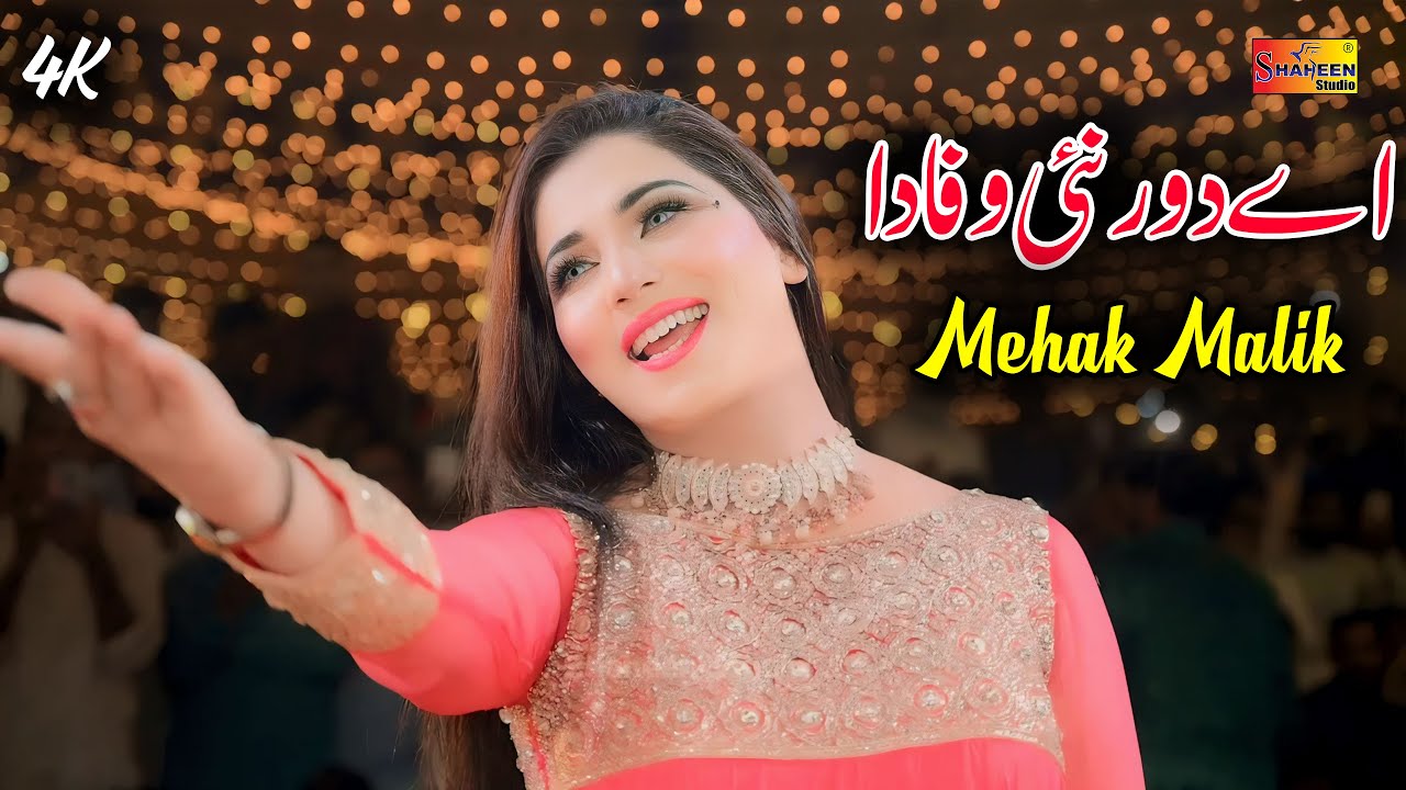 Mehak Malik | New Saraiki Punjabi Dance Performance Shaheen Studio 2024