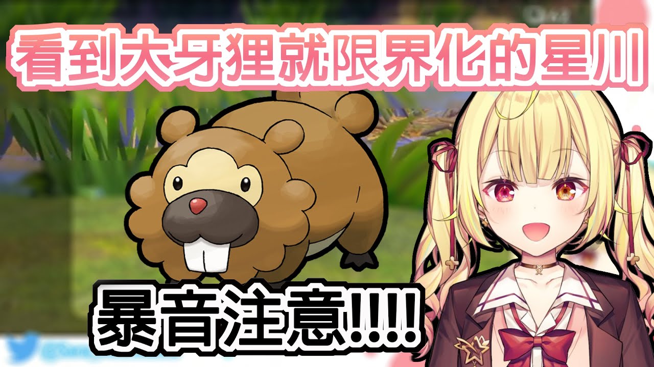 【限界化的星川】看到大牙狸超級興奮 語無倫次的尖叫聲 ＊收看此影片音量建議調低【星川莎拉/星川サラ】【にじさんじ/彩虹社】