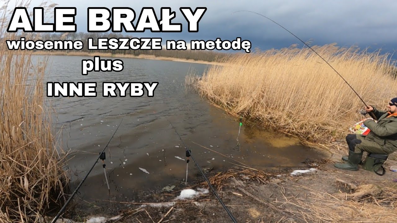 Musiałem odwiedzić to ŁOWISKO PZW! WIOSENNE LESZCZE I INNE RYBY
