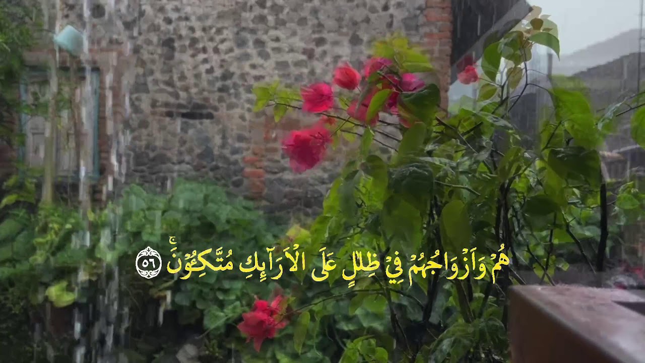 👉 Yosin surasi (to‘liq) | Chiroyli va xotirjam qiluvchi tilovat
