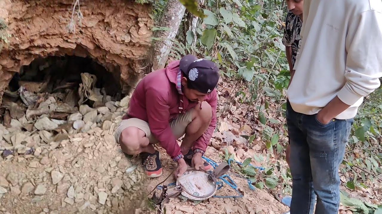 दुम्सि को शिकार जङ्गलमा | Nepali vlog | Porcupine catching at jungle
