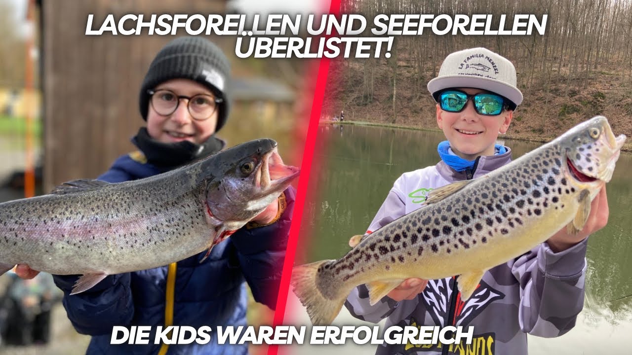 Kampfstarke Seeforelle und Lachsforellen