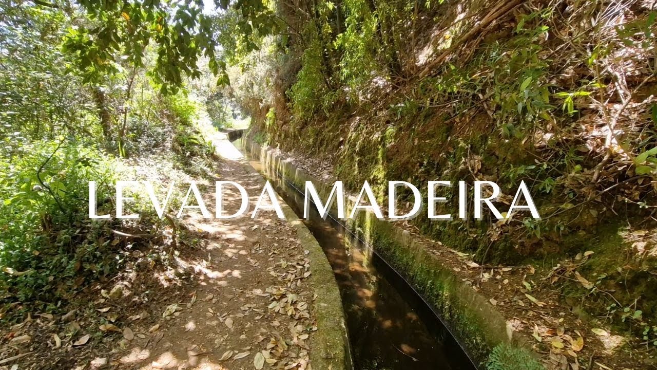 Easy Levada in Madeira / Levada Dos Tornos / Madeira Island