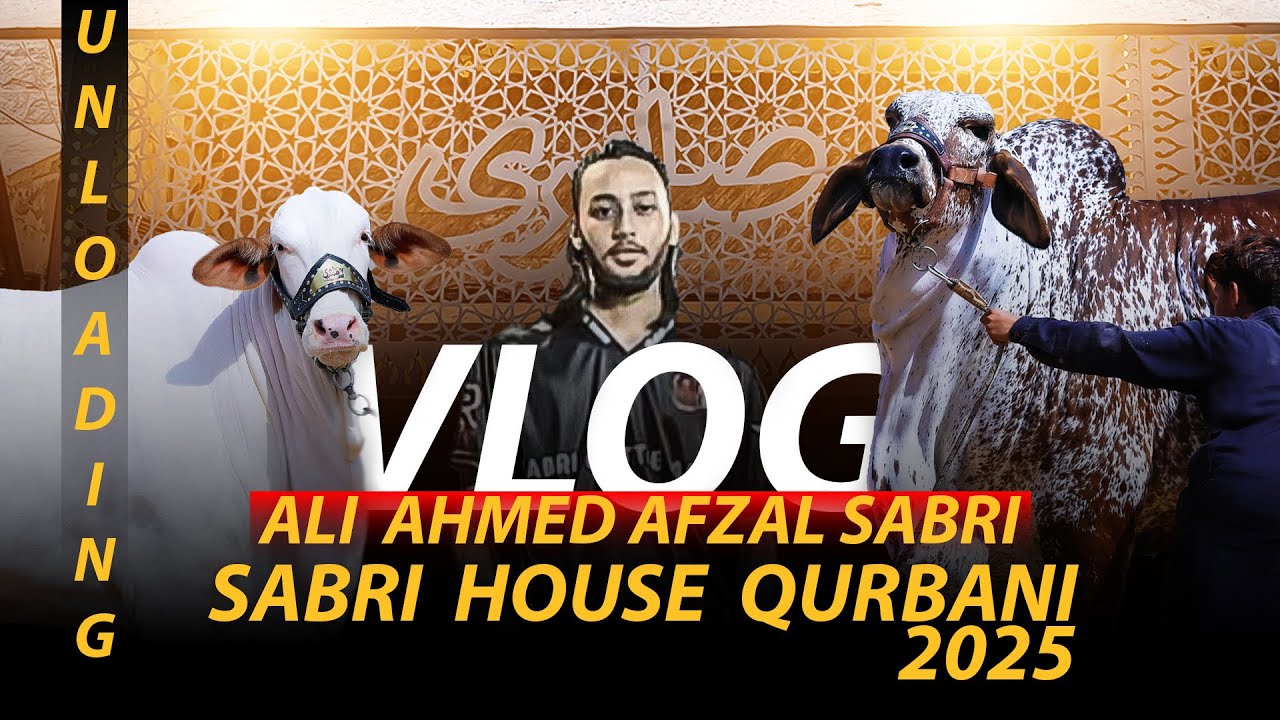 Sabri House Qurbani 2025✨ | Unloading | VLOG | Ali Ahmed Afzal Sabri