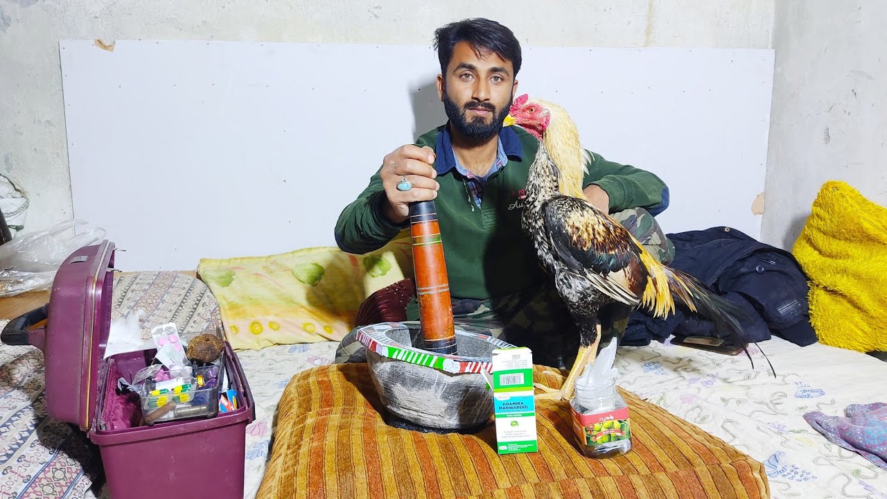 Overdose | Reaction & Treatment | Rooster Treatment