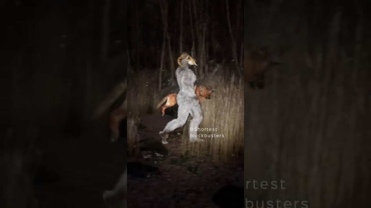 The Goat Monsters took the dogs for a walk