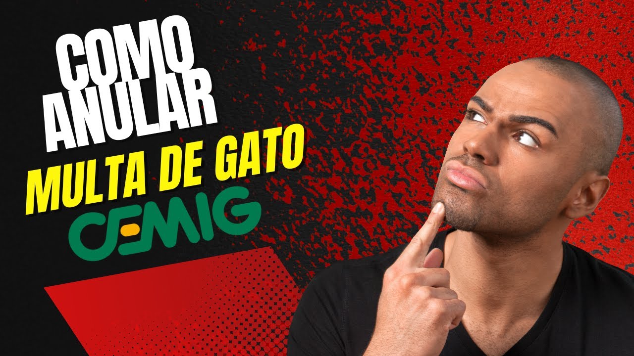 É POSSÍVEL ANULAR MULTA DE GATO? CEMIG
