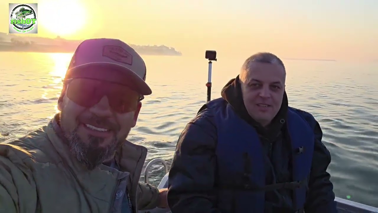 ​CLONK! CATFISH! DUNĂRE! 