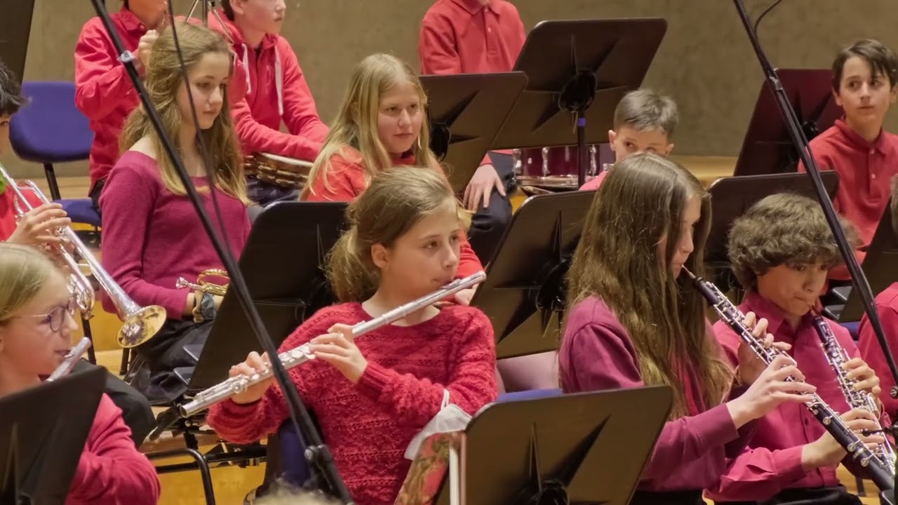 John Williams, Highlights from Harry Potter - Mikrolozzi Orchester des Pestalozzi Gymnasium München