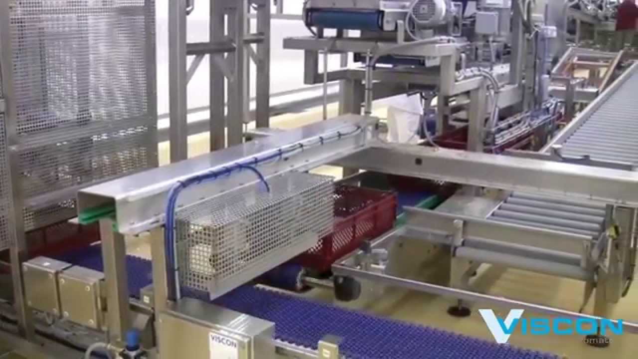 Viscon Hatchery Automation - Chick processing
