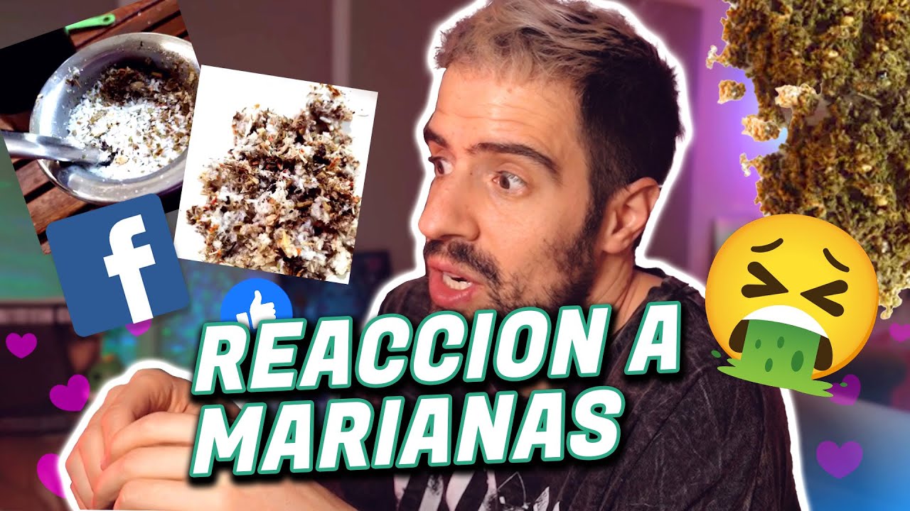 MARIANA ROÑOSA RECICLA YERBA USADA Y HACE GALLETITAS - Reaccion a Marianas