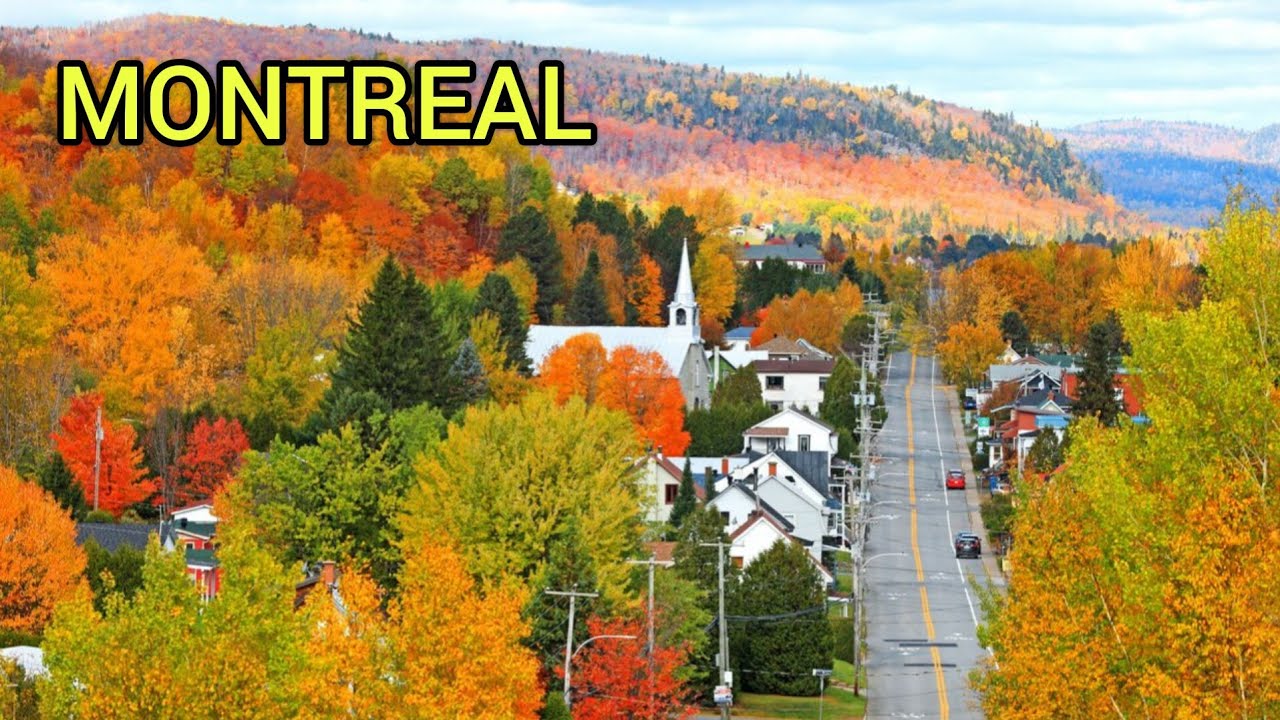 DRIVING TOUR OF MOUNT ROYAL HILL, MONTREAL // AUTUMN BEAUTY OF CANADA 🇨🇦