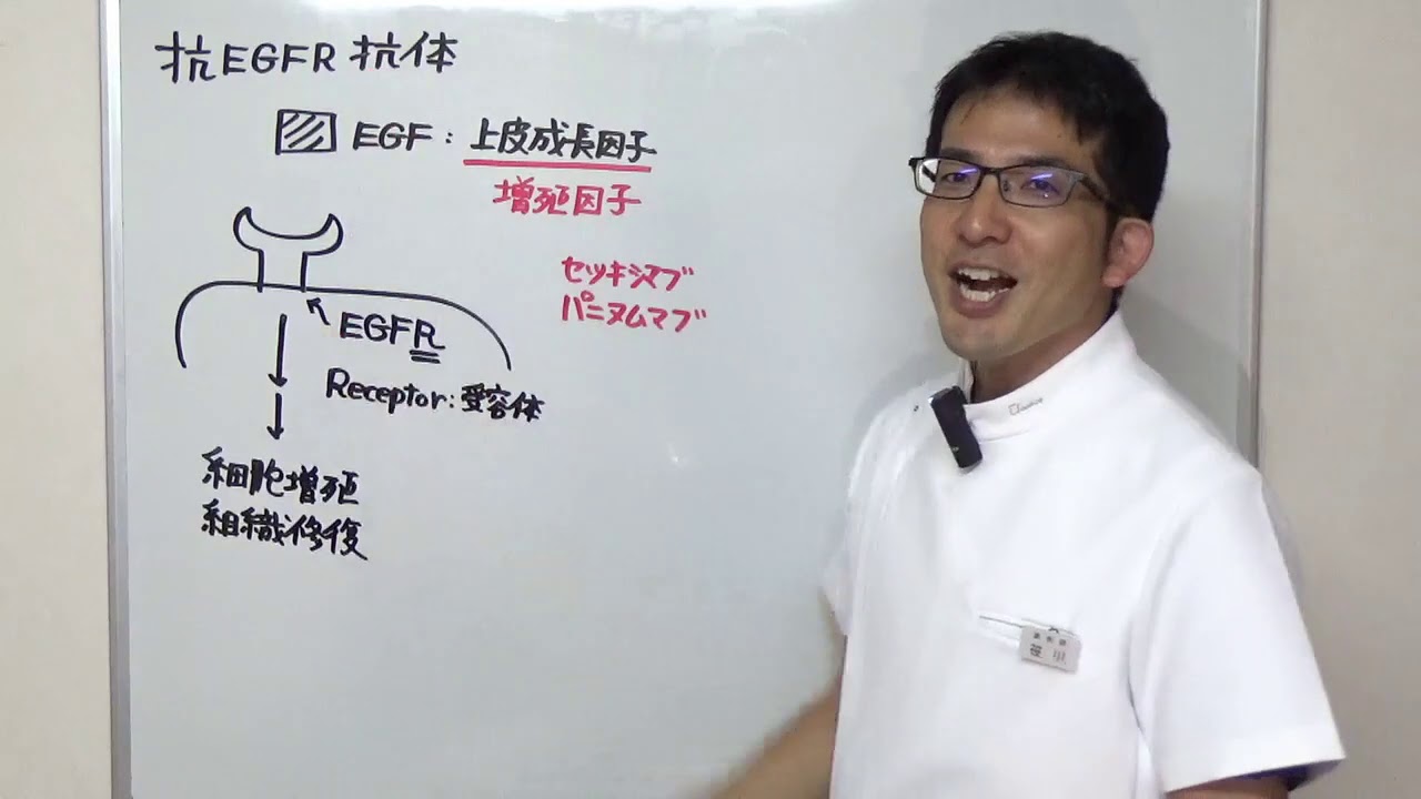 かんたん薬理学　抗がん剤　分子標的薬