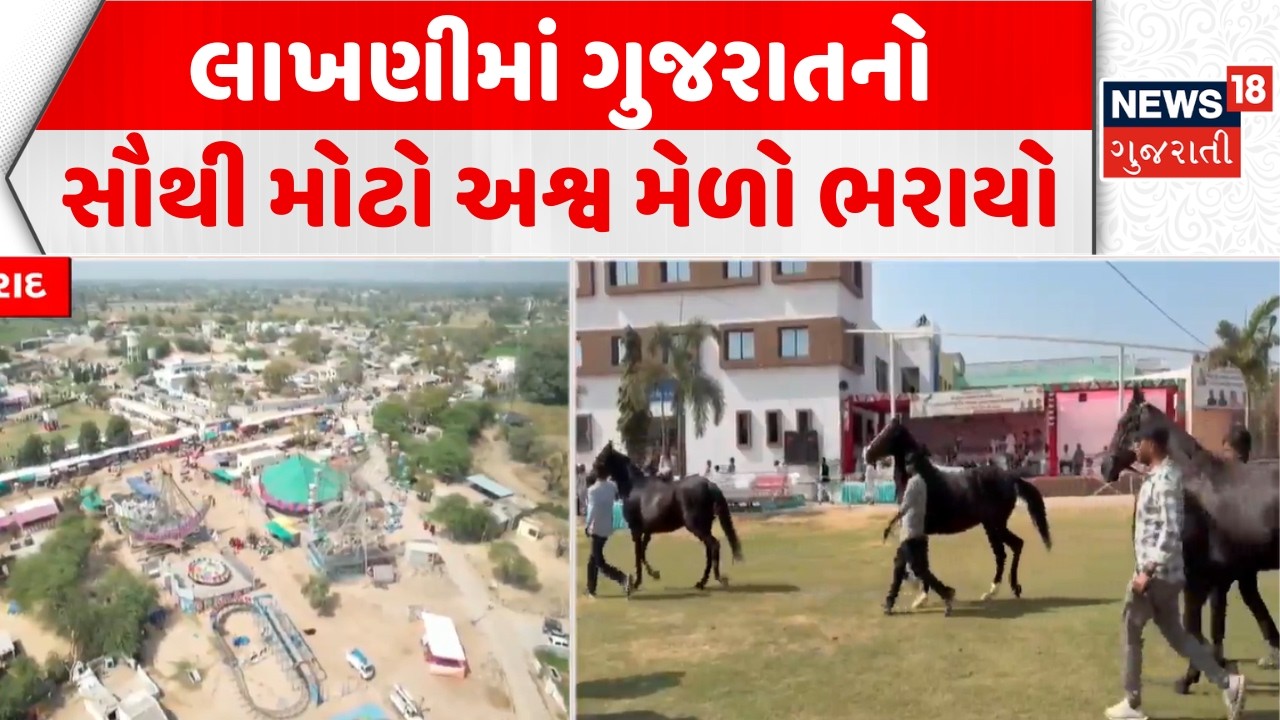 Vav Tharad Horse Mela: લાખણીમાં ગુજરાતનો સૌથી મોટો અશ્વ મેળો ભરાયો | Lakhani | Pravin Mali