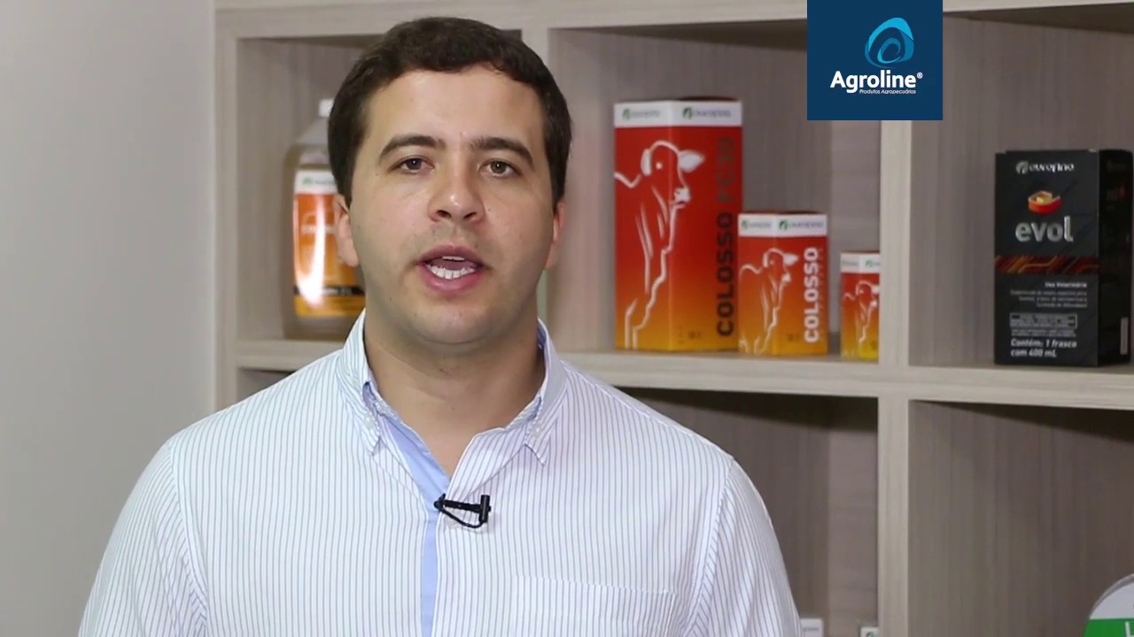 Maxicam 2% Ourofino - agroline.com.br