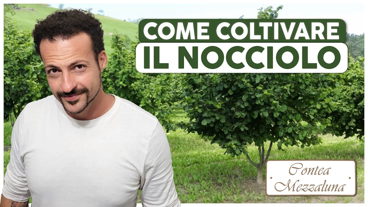 COLTIVARE IL NOCCIOLO: MANUALE PRATICO