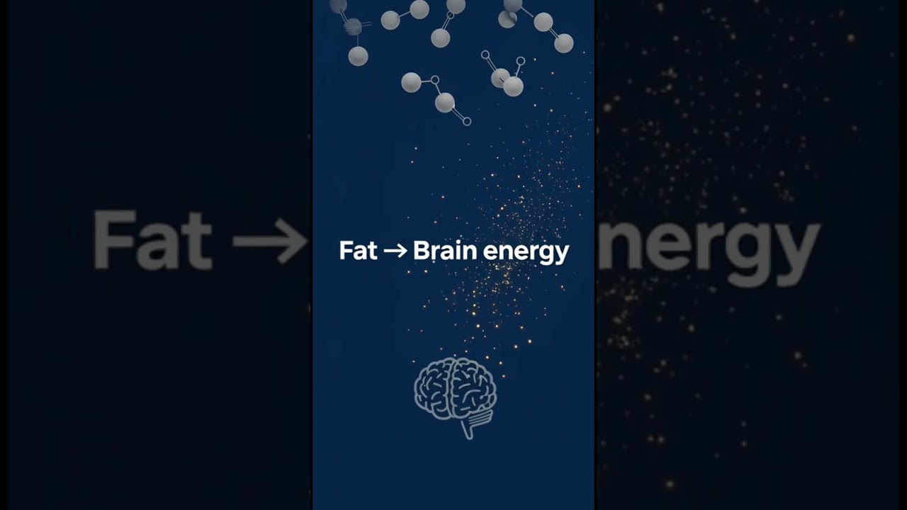 What Happens to Your Brain During Ramadan Fasting? 🌙