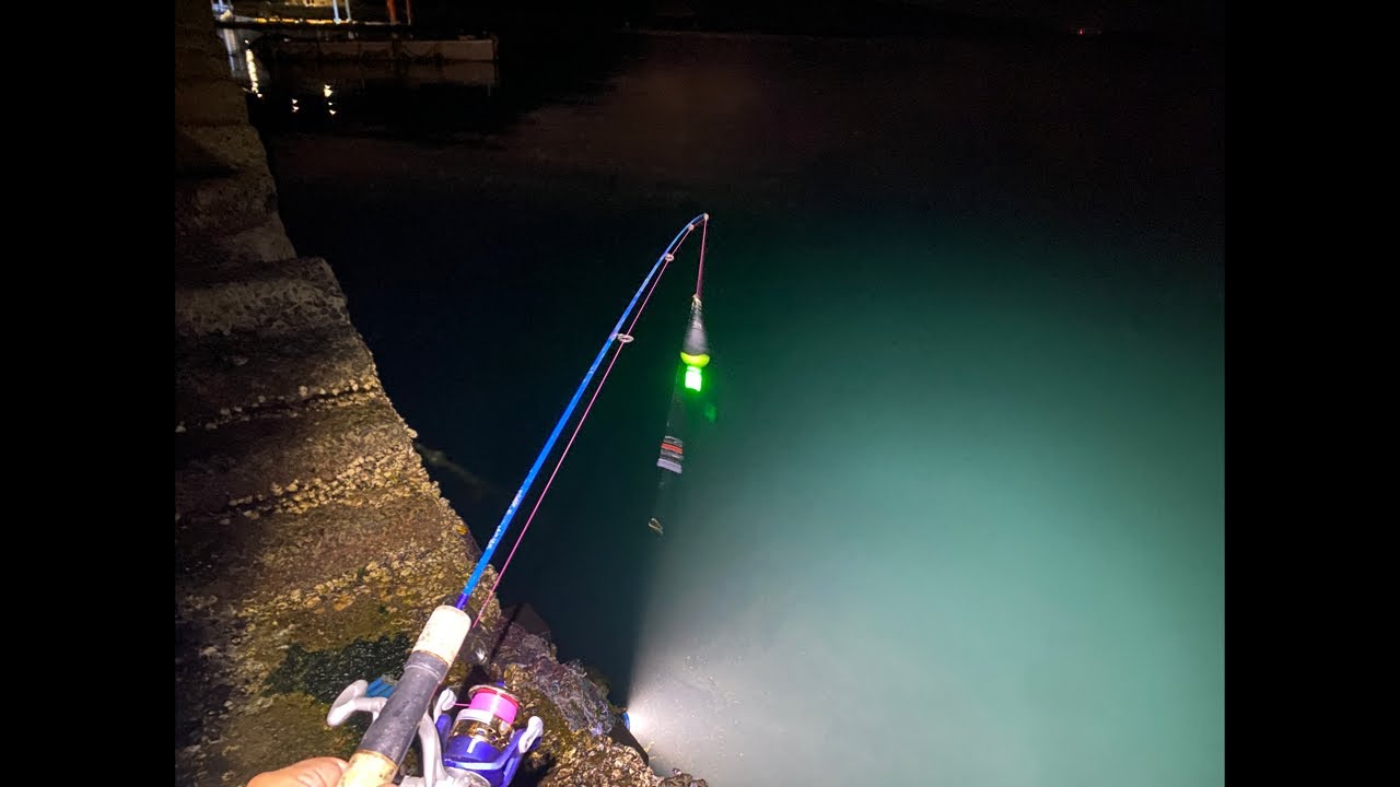 【配信】夜釣りだー！カサゴ釣るぞー！