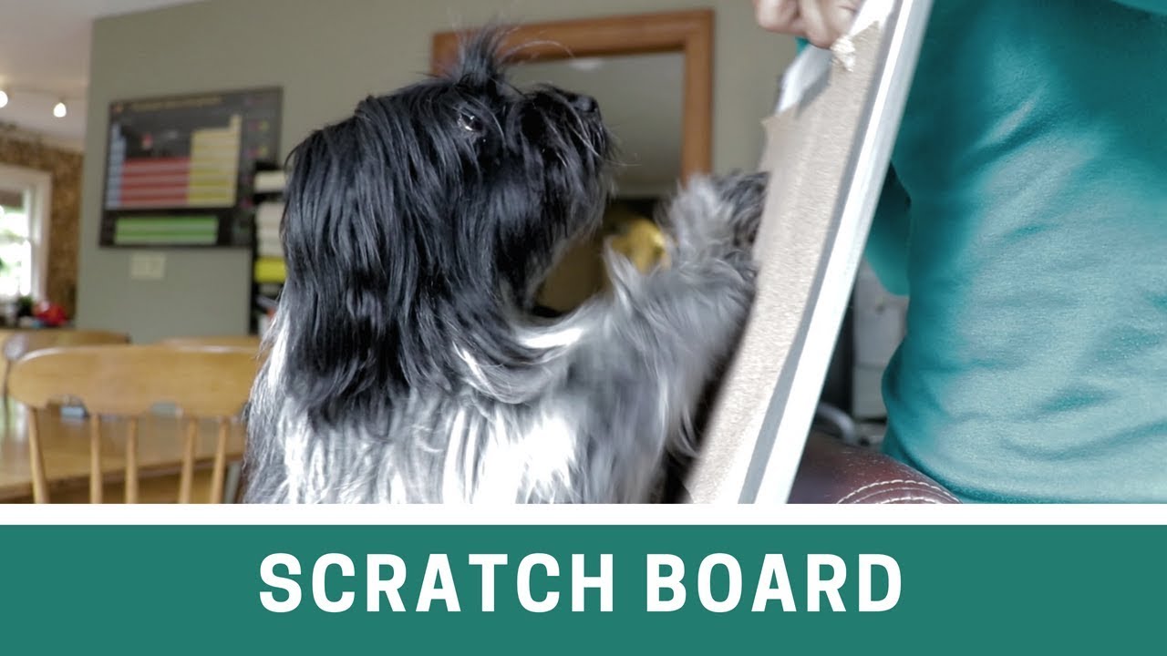 Dog Nail Trims Using a Scratch Board