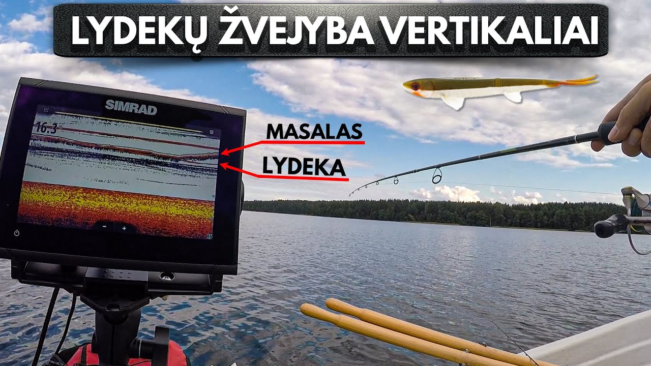 Lydekų žvejyba vertikaliai :) Ar įmanoma pagauti pelaginę lydeką žvejojant be live sonaro?