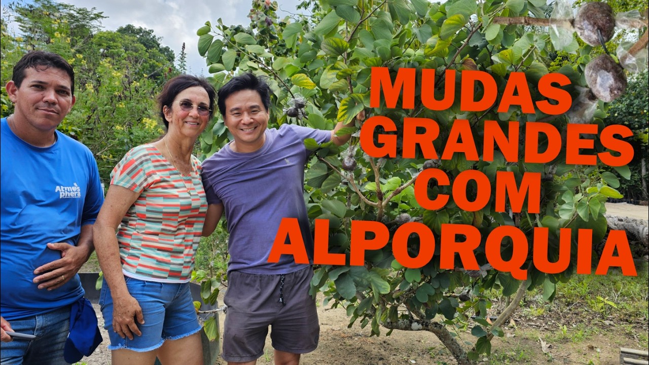 Aprenda a fazer mudas por ALPORQUIA.