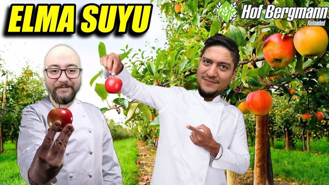 ELMA BAHÇELERİNİ TOPLUYORUZ // ELMA SUYU YAPIYORUZ // HOF BERGMANN #7 | FS19 !!
