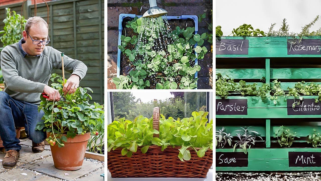 Clever Ways to Grow in Small Spaces: Container Vegetable Gardening for Beginners