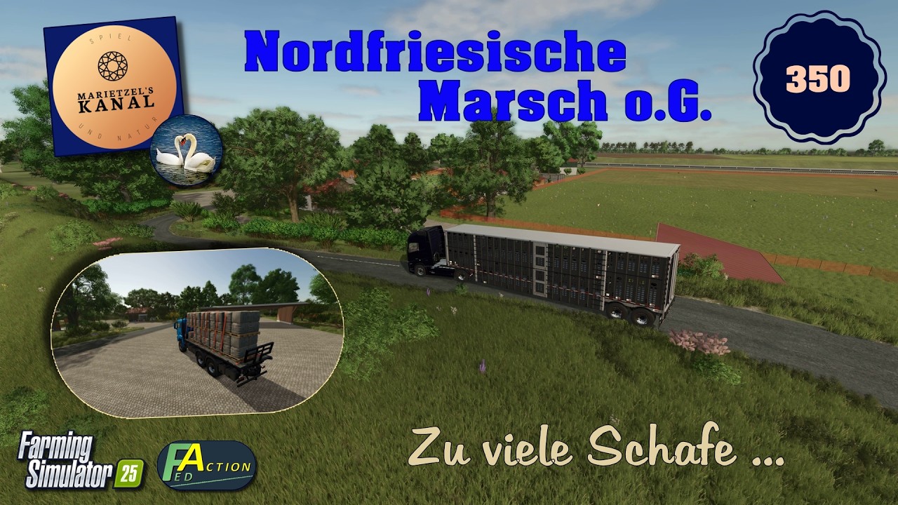 LS 25  Nordfriesische Marsch o.G.   - 350 - Zu viele Schafe