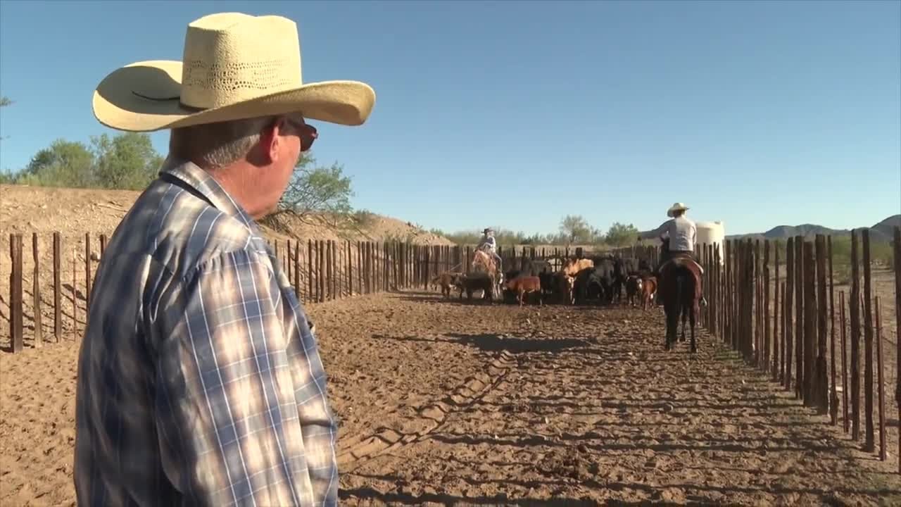 Arizona ranchers push back against Trump's beef import comments