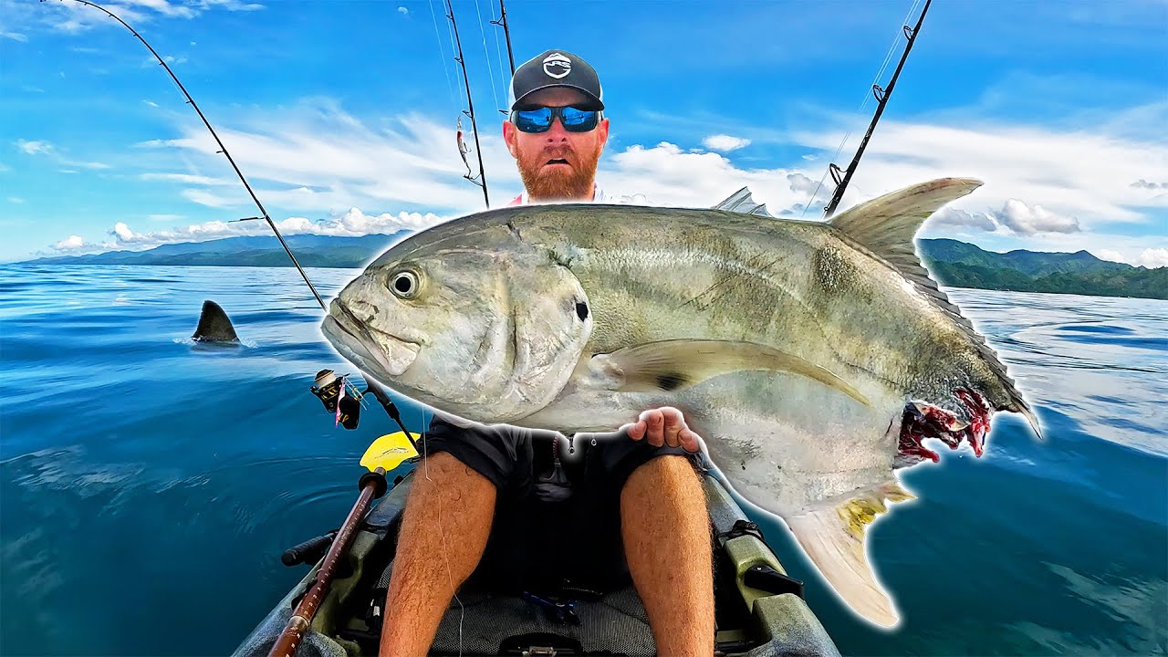 Shark Attacks My Fish... Then My Kayak!