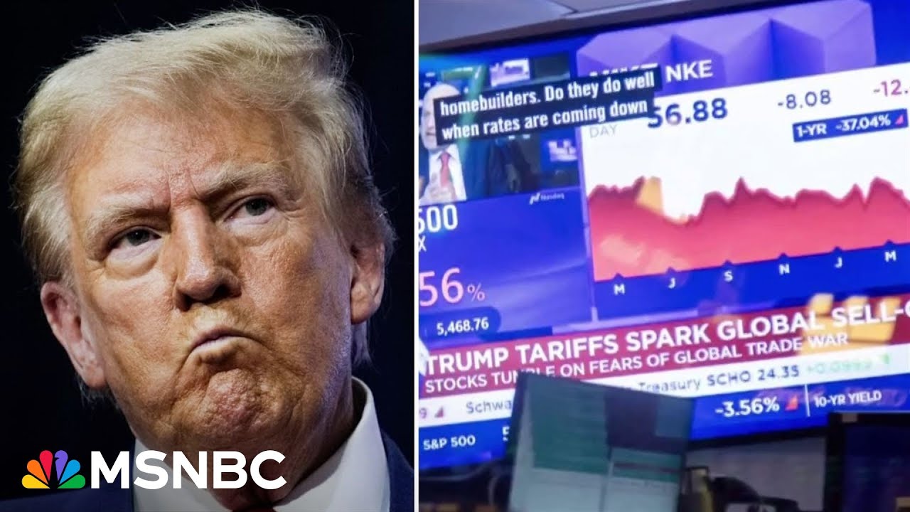 ‘Cutting your own Achilles heel’: Expert says Trump picked ‘worst possible choices’ for tariffs