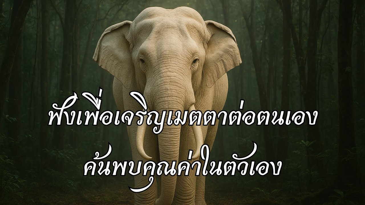 ฟังเพื่อเจริญเมตตาต่อตนเอง ค้นพบคุณค่าในตัวเอง โดยธรรมบำบัด