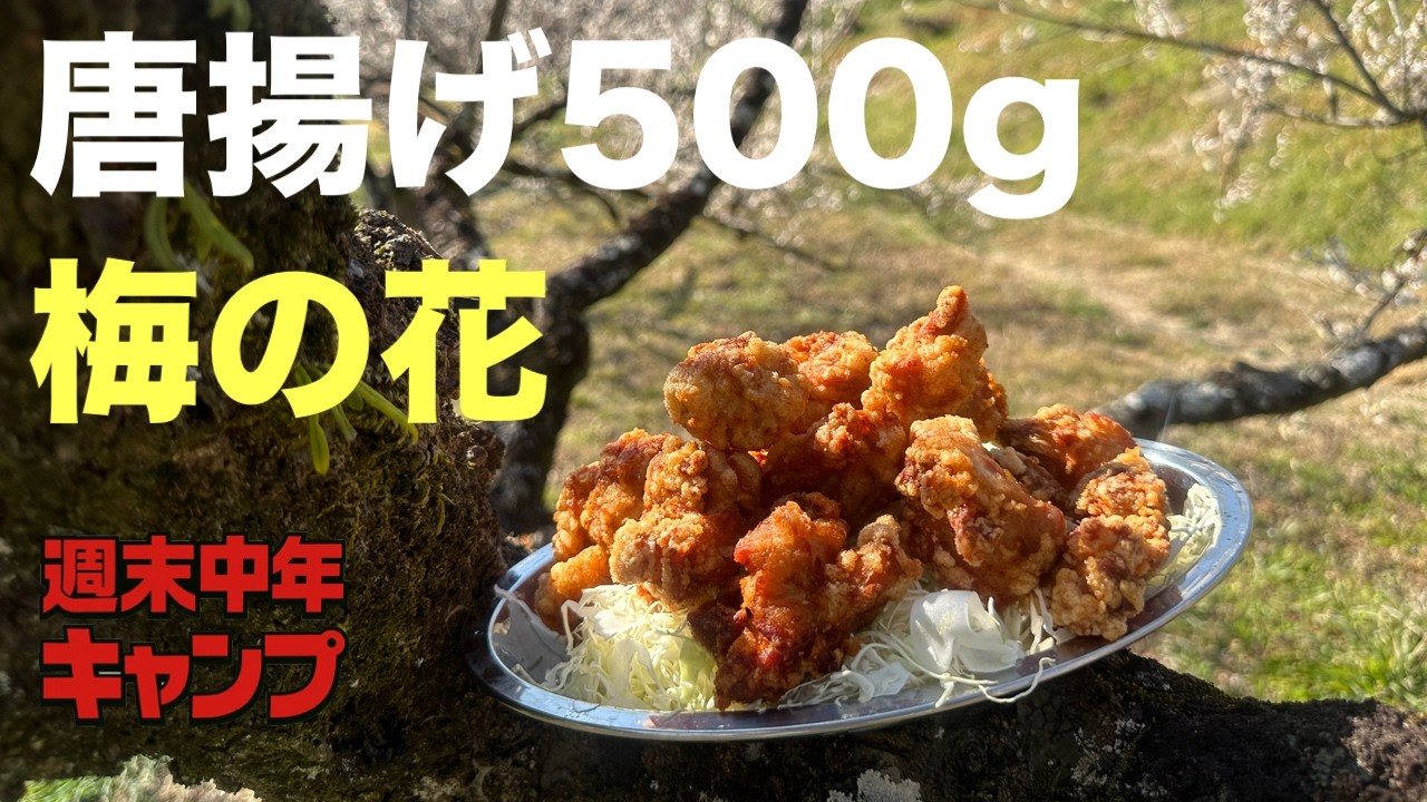 【コッソリ花見】宇佐から揚げ500gと花見が最高すぎた【週末中年キャンプ】