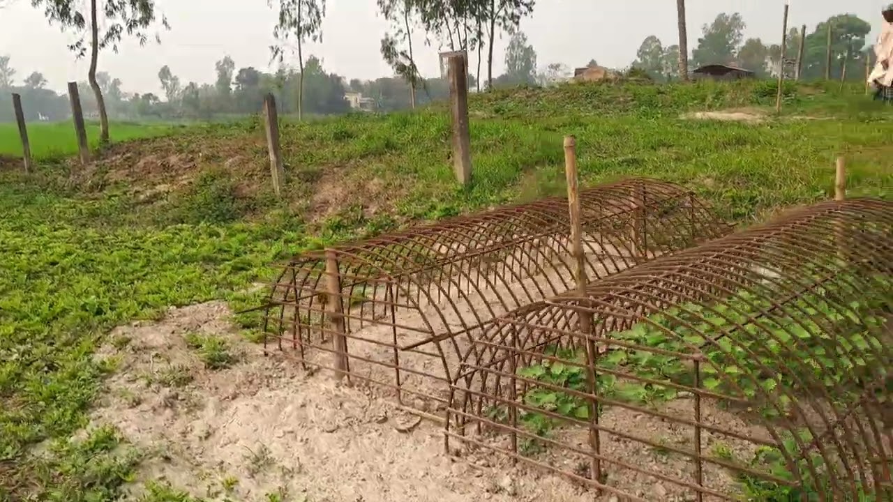 একা বসে থাকার যায়গা, মন ভাল হবেই।