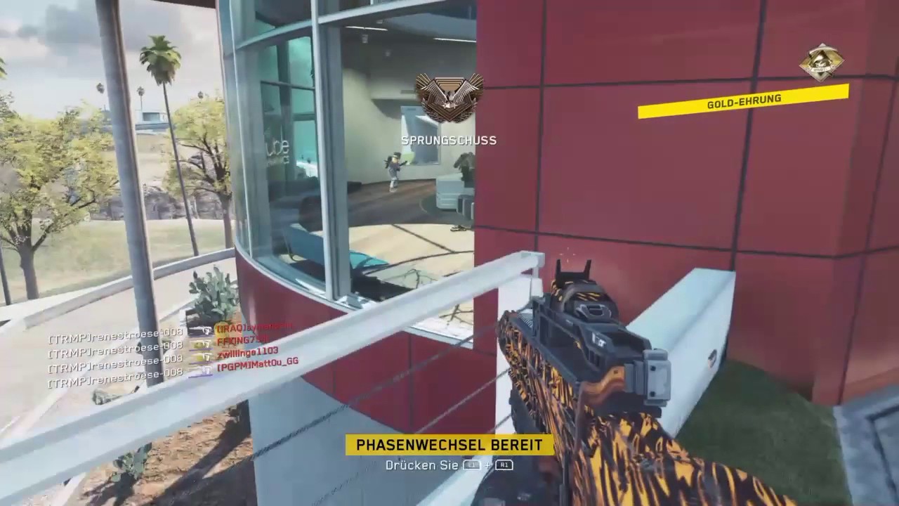 COD IW Diamond weapons #1