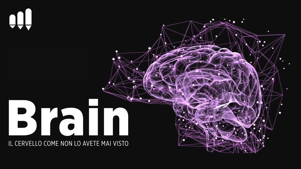 Brain - il cervello come non lo avete mai visto