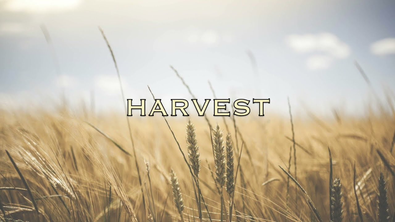 Harvest | Singing In Tongues | Kelly Outzen