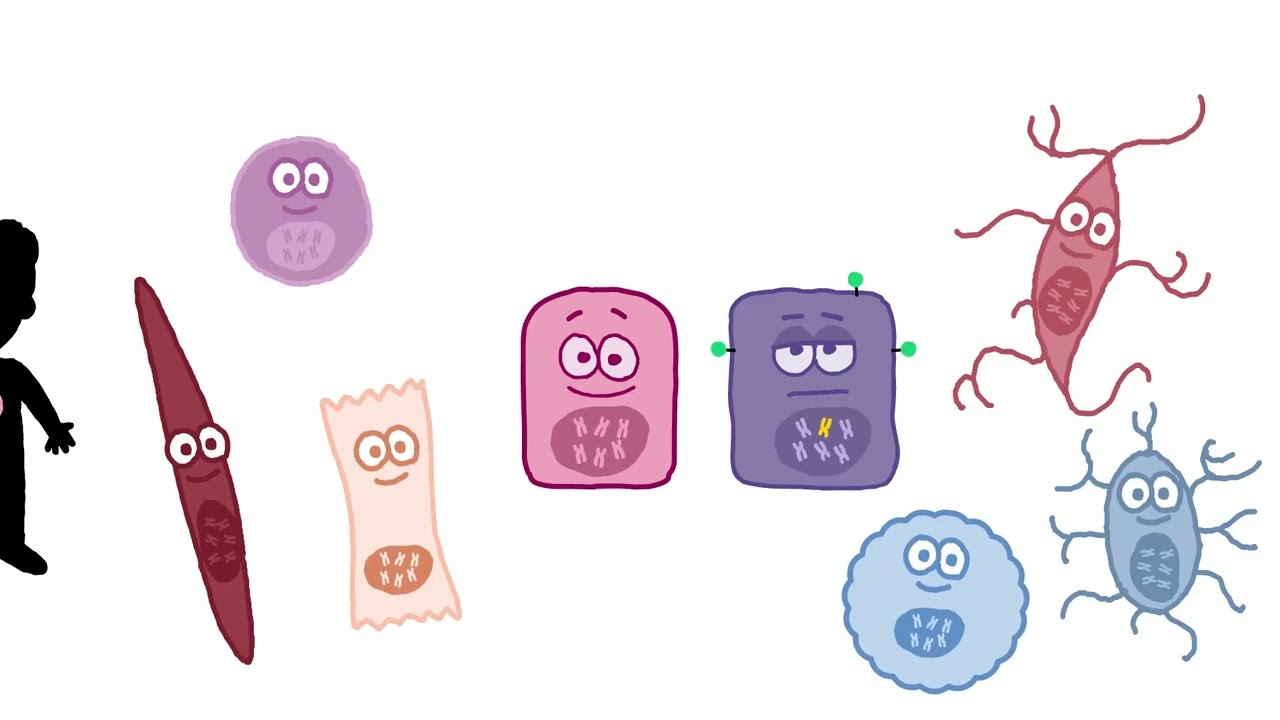 The Role of the TROP2 Biomarker in Cancer