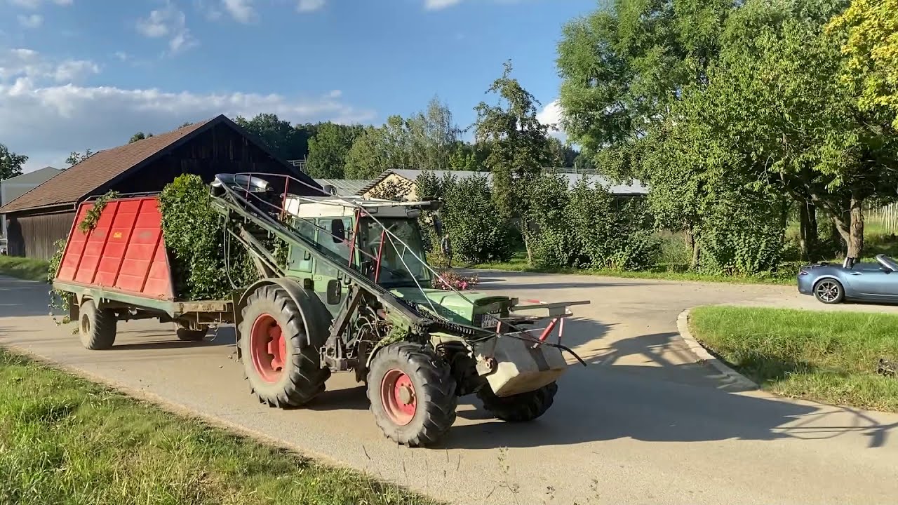 Hopfenernte in der Hallertau