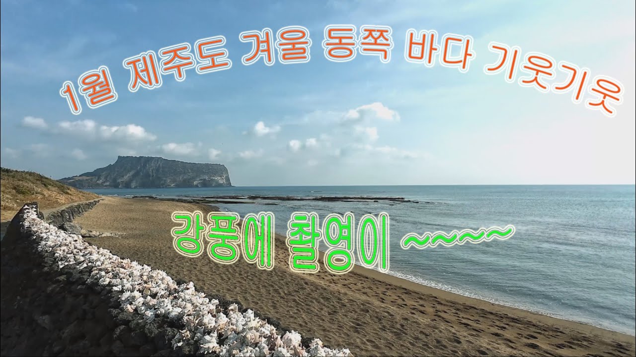 제주도 겨울 강풍 부는 동쪽 바다 기웃 기웃(Exploring Jeju Island's windy eastern sea during the winter season.)