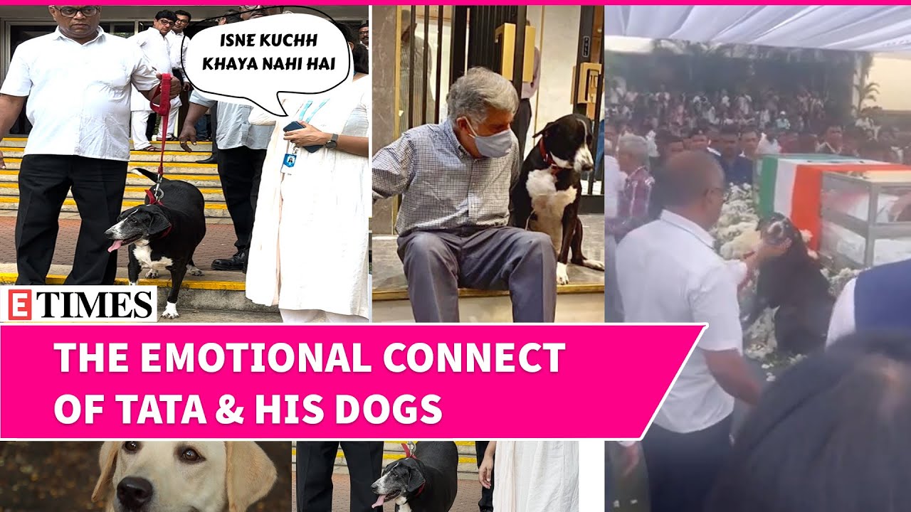Ratan Tata's Dog Goa Paid Last Tribute | The Emotional Connect Of Tata & Furry Stars | WATCH