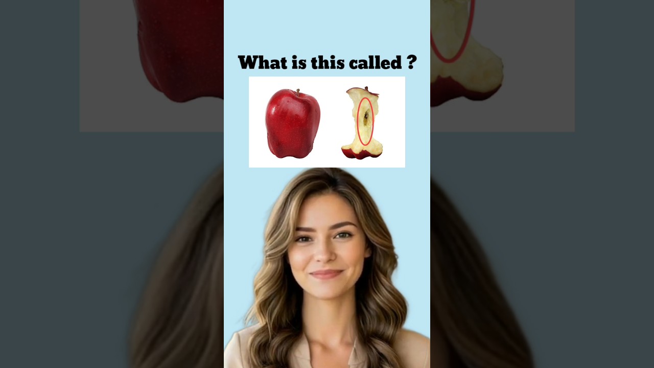Can you name all these? 🤔😯#english #vocabulary #listenandlearn #englishlanguage #shorts