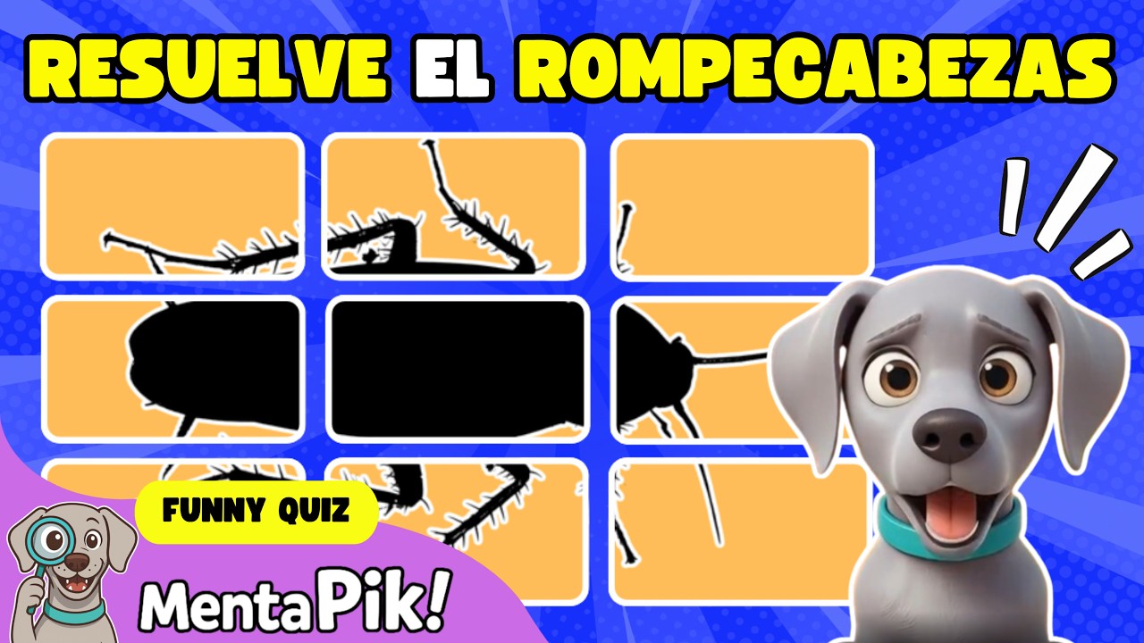 ¿Podrás responder a tiempo? ¡Rompecabezas animales! Juega a este divertido quiz