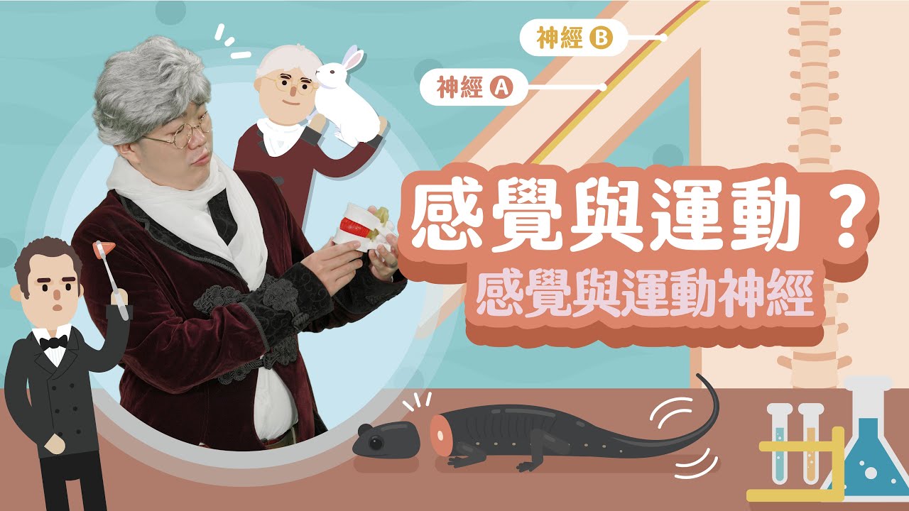 阿嬤你怎麼沒感覺！到底是哪邊出問題了呢？【LIS科學史】（貝爾－神經）