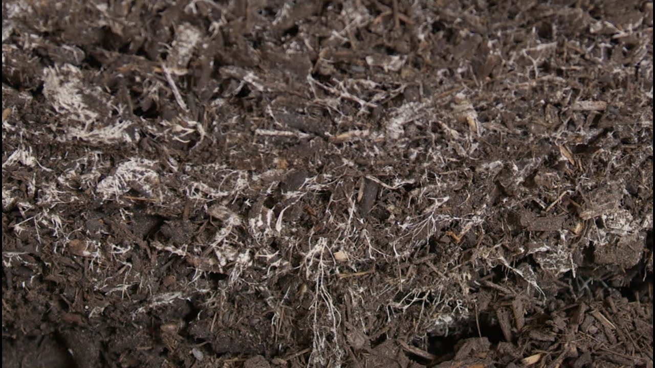 Looking at Grozome Compost with Matt Powers