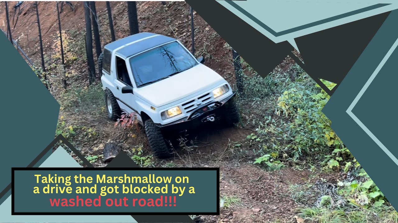 Taking the Marshmallow on a drive and the road was washed out!