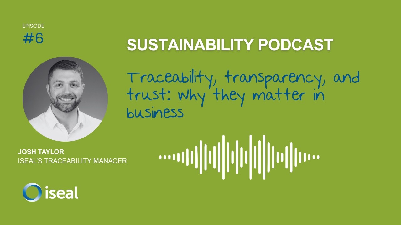 Traceability, transparency, and trust: why they matter in business