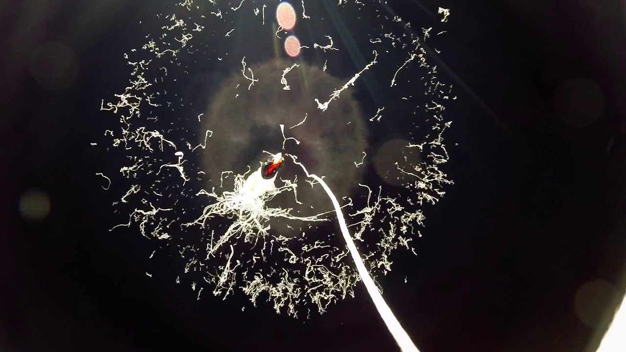 GoPro  запустили в стратосферу/ GoPro launched in stratosphere