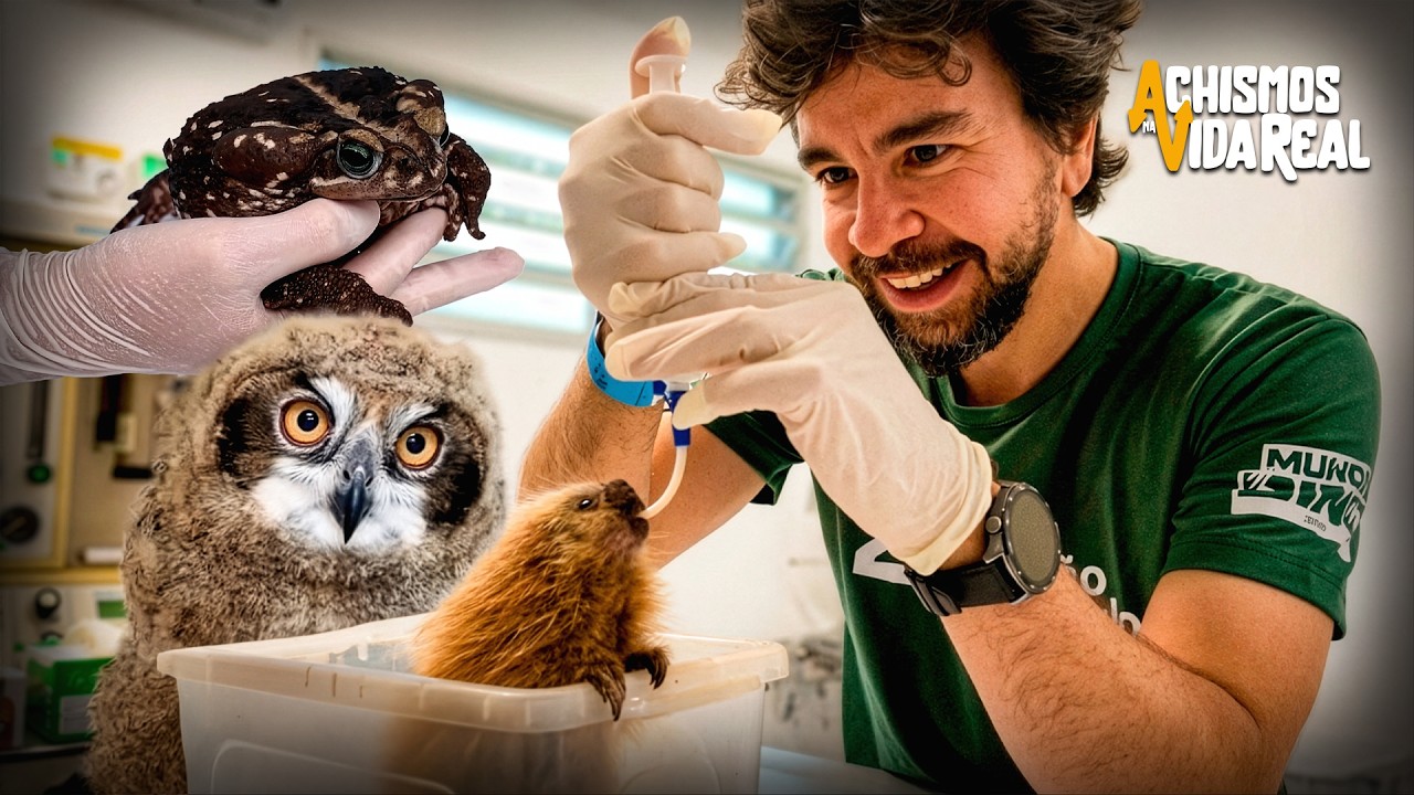 QUAIS SÃO OS SEGREDOS POR TRÁS DA ROTINA DE UM TRATADOR DE ANIMAIS NO ZOOLÓGICO? | 